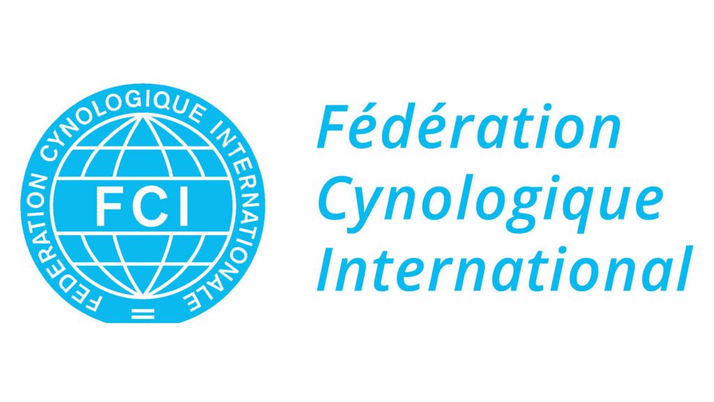 What Is FCI?