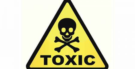 Poisonous, toxic plants to dogs