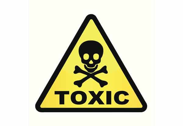 Poisonous, toxic plants to dogs