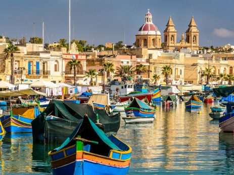 malta-dogs, malta likes