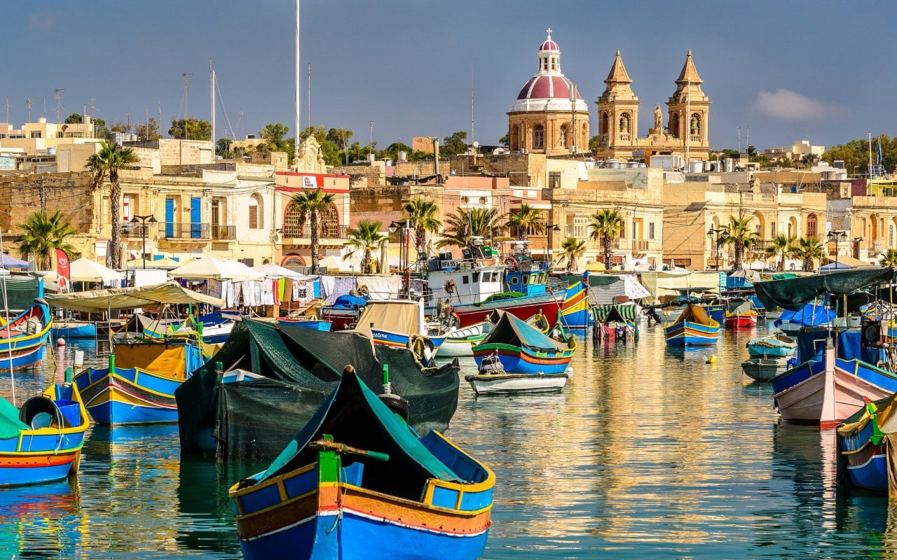 malta-dogs, malta likes