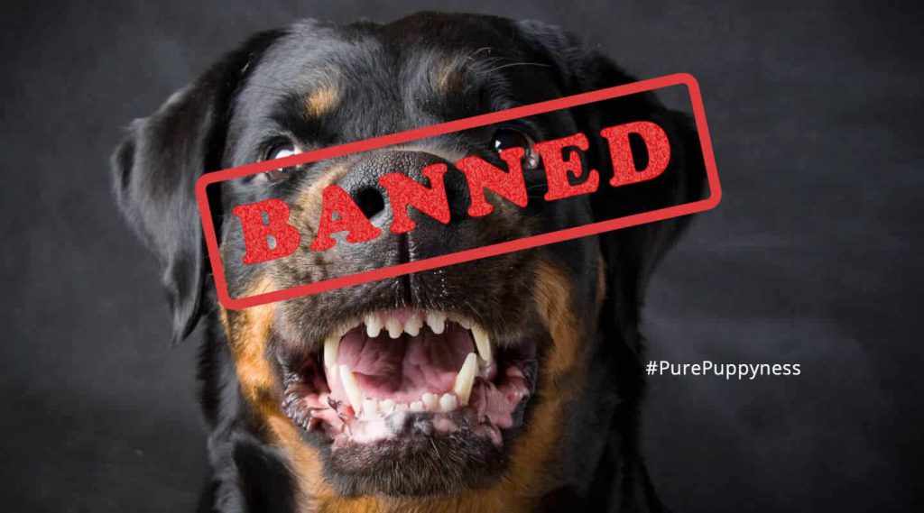 Banned Breeds of the Middle East