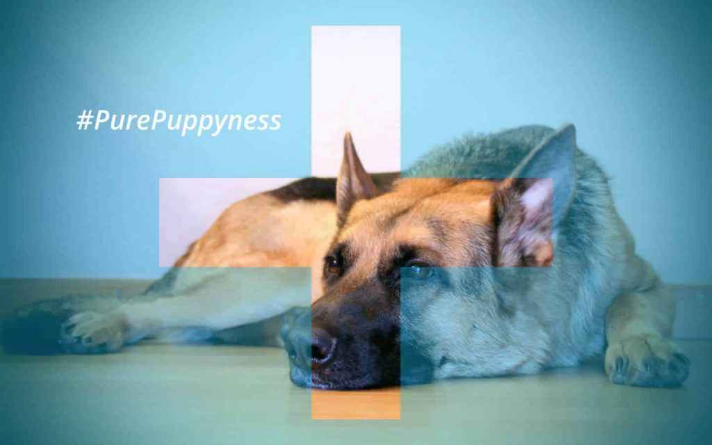 The Yearly Medical CheckUp