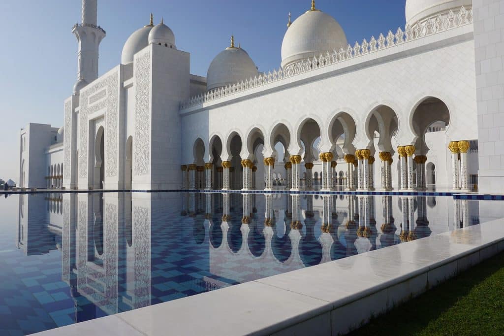 What to consider when buying a puppy in Abu Dhabi