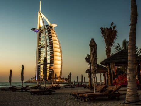 What to consider when buying a puppy in Dubai