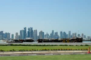 What to consider when buying a puppy in Qatar