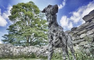 famous dogs Gelert