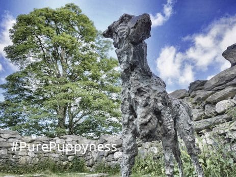 famous dogs Gelert