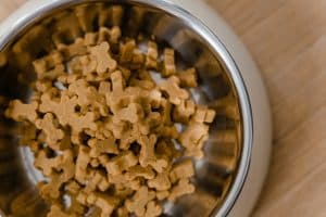 Dog Food Allergies NewDoggy.com blog