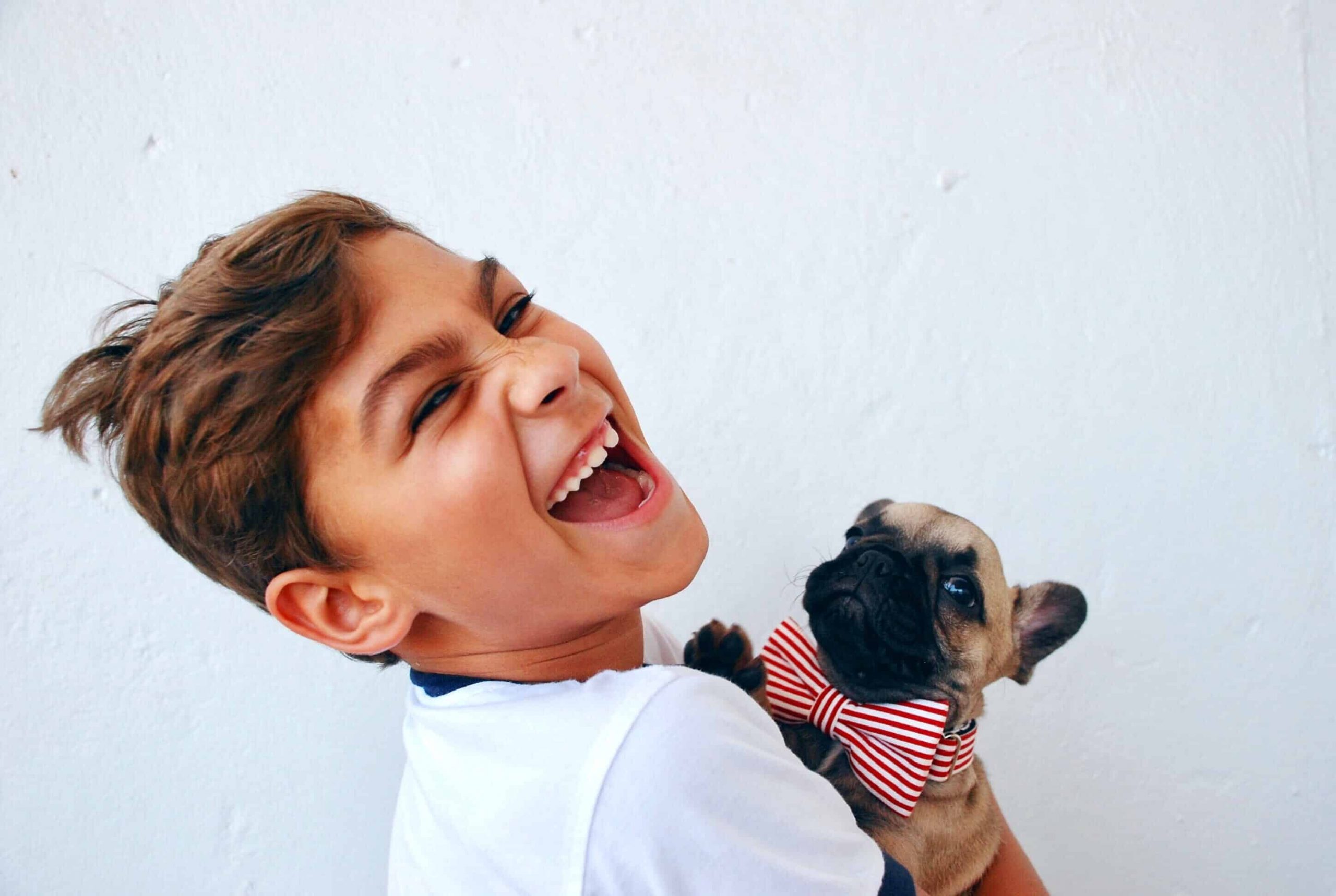 Best dogs for a teenager blog NewDoggy.com