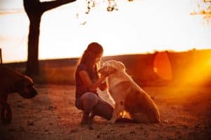 Emotional Support Dogs blog NewDoggy.com
