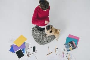 Best Dogs for the office