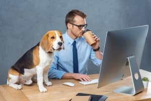 Best Dogs for the office