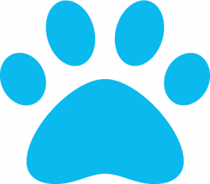 paw