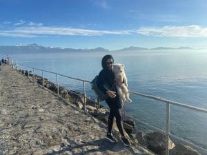 puppy switzerland, dog switzerland, buy a puppy, dog for sale