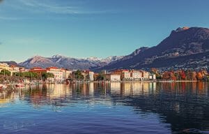 buy puppin in switzerland, dog switzerland, purebred dog