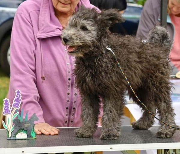 Cooper Pumi