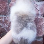Diamond-male-pomeranian-puppy-for-sale-1 (3)