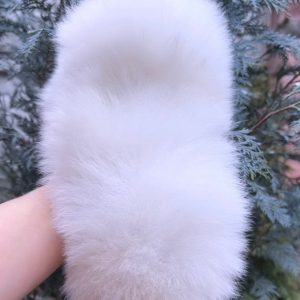 Favorite Pomeranian