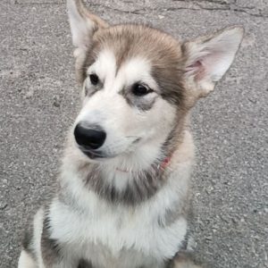 Mia