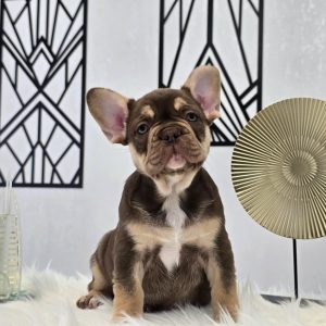 Oliver