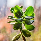 kostiantyn-vierkieiev-y4oO_7XBb70-unsplash