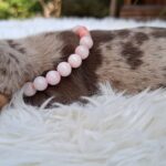 Bella-female-miniature-dachshund-puppy-for-sale- (2)