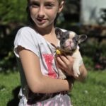 Hassan French Bulldog