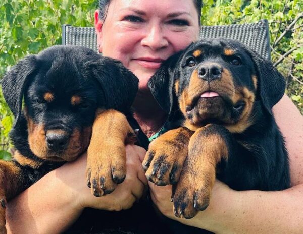 Rhea and Roxy Rottweiler