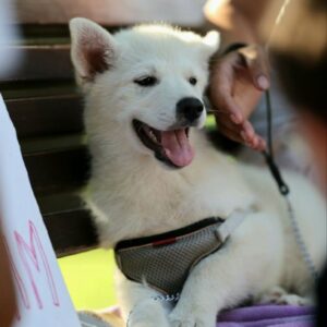 Lars Pomsky