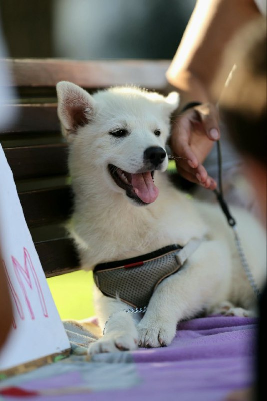 Lars Pomsky