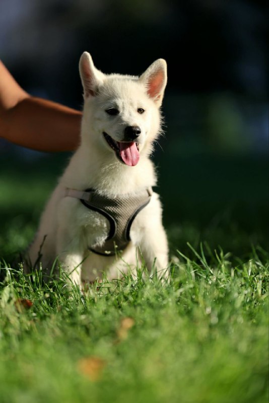 Lars Pomsky