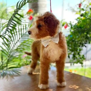 Zenith Labradoodle