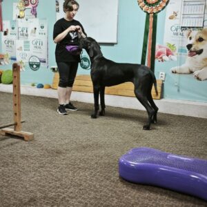 Leya Great Dane