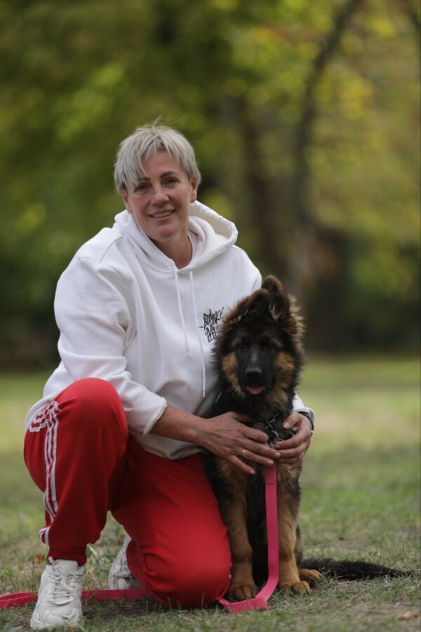 Dixie German Shepherd