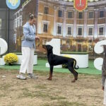 Garik-male-doberman-puppy-for-sale-1 (3)