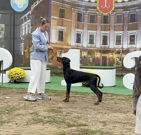 Garik Dobermann Garik Dobermann