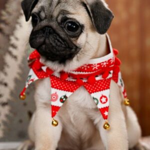 Hammer Pug Hammer Pug