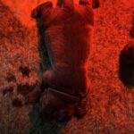 Rekki-female-labrador-retriver-puppy-for-sale-1 (1)