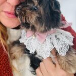 Amara-female-yorkshire-terrier-puppy-for-sale- (2)