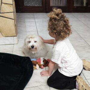 Edmund Coton De Tulear Edmund Coton De Tulear