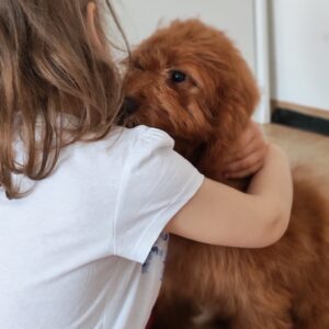 Hilda Cavapoo Hilda Cavapoo