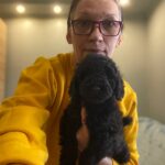 Niko-male-Toy-Poodle-puppy-for-sale-1 (3)