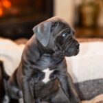 зображення_viber_2026-01-29_17-25-24-091