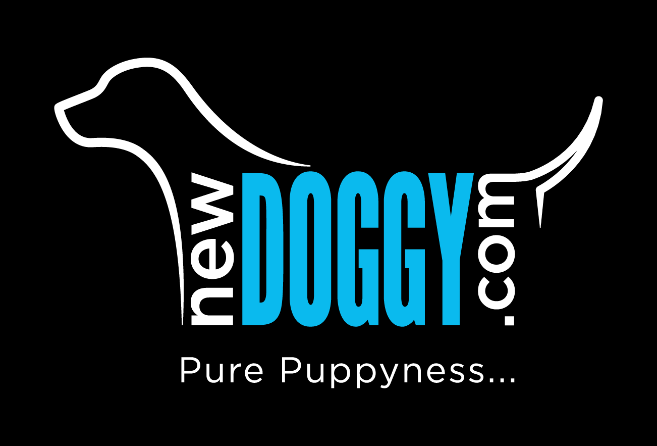 Newdoggy_logo_web what is newdoggy?