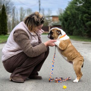 Octavia English Bulldog Octavia English Bulldog