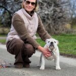 Orhcid-female-english-bulldog-puppy-for-sale-1 (2)
