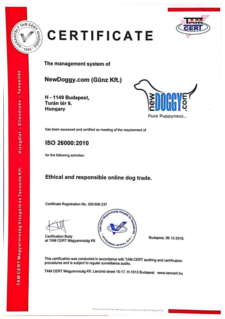 TAM CERT ISO 26000 (ENG)