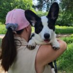 Caspian-male-Welsh-Corgi-puppy-for-sale-1