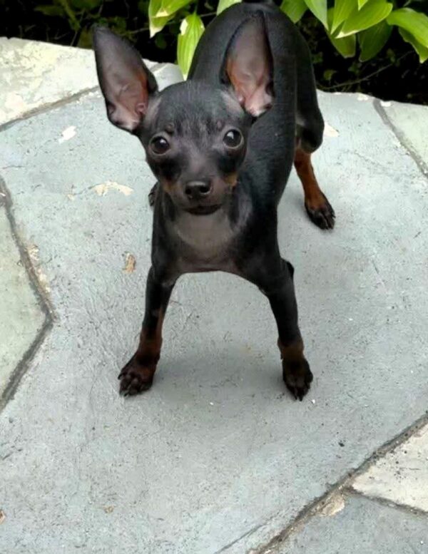 Kevin Prague Ratter Kevin Prague Ratter